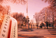 Recomendaciones para cuidar tu salud ante la ola de calor