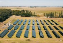 Granja Tres Arroyos inauguró una planta de energía solar