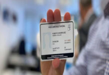 Jornada de Pase Libre Multimodal en Brandsen