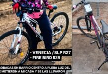 Forzaron una reja y se llevaron dos bicicletas a plena luz del día