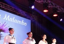 Brandsen dice presente en el Festival Nacional del Folklore