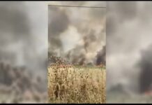 Valeria Fernández: “Fue desesperante, el fuego nos llegó hasta la tranquera”