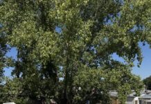 Comenzaron los trabajos para preparar las escuelas de cara al inicio del ciclo lectivo