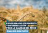 Programa mejoramiento y diferenciación para la calidad de trigo