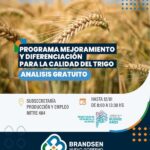 Programa mejoramiento y diferenciación para la calidad de trigo