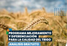 Programa mejoramiento y diferenciación para la calidad de trigo