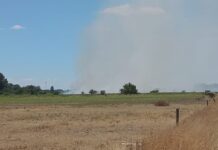 Sirenas: Incendio en un campo de Ruta 215