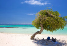 Aruba 2026: un destino ideal para desconectar, relajarse y disfrutar del Caribe