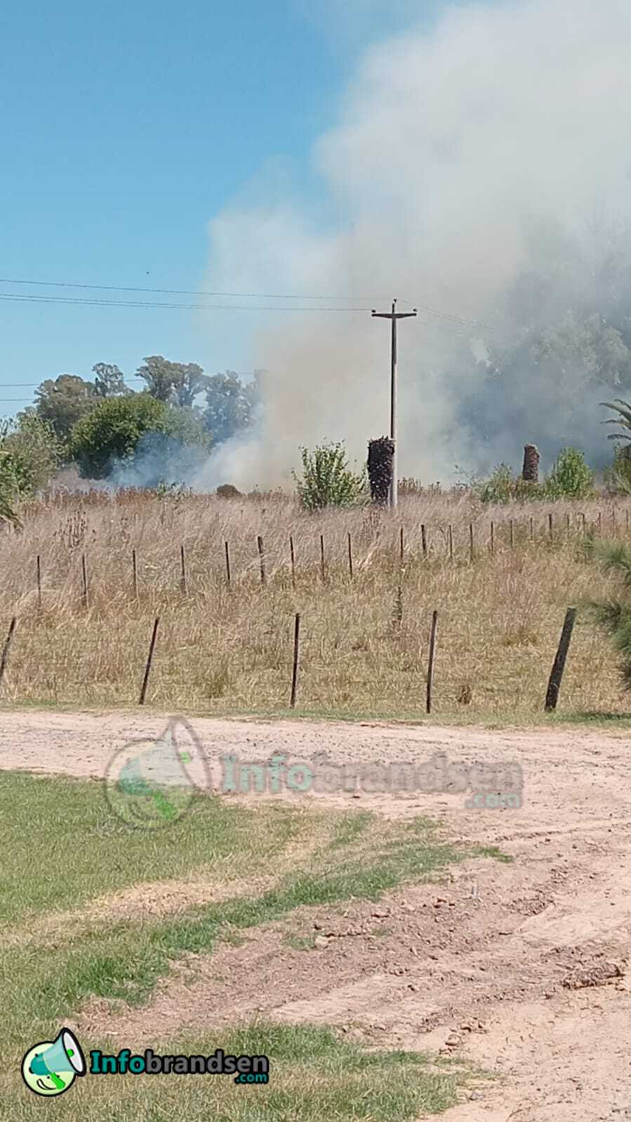 Incendio Feedlot (2)