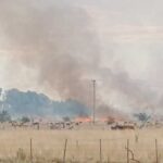 Preocupan reiterados incendios en campos y barrios linderos a la Ruta 2
