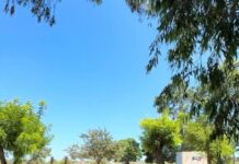 Jornada recreativa para estudiantes de la Escuela N° 7 de Gómez