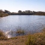 Escriben los lectores: vecinos preocupados por la posible instalación de una tosquera