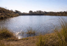 Escriben los lectores: vecinos preocupados por la posible instalación de una tosquera