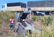 Accidente en Ruta 29: choque entre camión y camioneta dejó un herido