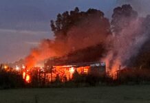 Carta de lectores: Preocupación por focos de incendio intencionales en El Molino