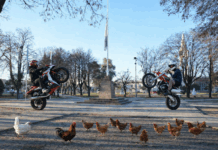 Fuego cruzado: la oposición se opone al aumento de multas a las motos ruidosas y piden documentación para saber cómo funcionaría la planta avícola