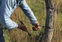 Capacitación en alambrados tradicionales con fines solidarios en la Sociedad Rural