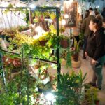 El domingo se realizará la primera Expoverde Otoño