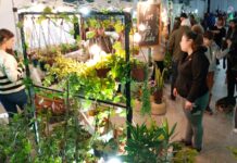 El domingo se realizará la primera Expoverde Otoño