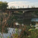 Escriben los lectores: vecinos impulsan la recuperación de la ribera del Samborombón en Las Acacias