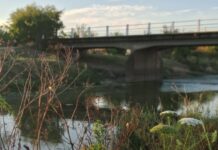 Escriben los lectores: vecinos impulsan la recuperación de la ribera del Samborombón en Las Acacias