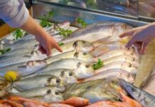 Semana Santa: Recomendaciones para un consumo seguro de productos de la pesca