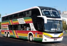 Plusmar: Servicios de micros San Vicente – La Plata