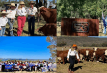 Katja Bachmann Beriain desde Australia: «Todo lo que se está viviendo acá es asombroso»