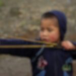 Escriben los lectores: denuncian ataques a aves con gomeras en El Soñado