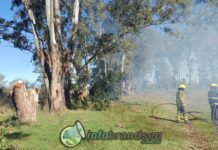 Incendio en Ecomundo