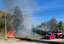 Incendio de cañas en La Dolly II