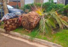 Escriben los lectores: “Hace más de un mes que la basura está en la puerta”