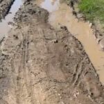 Escriben los lectores: denuncian abandono en la calle Venado Tuerto