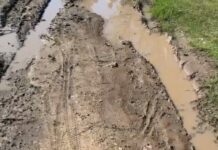 Escriben los lectores: denuncian abandono en la calle Venado Tuerto