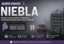 Advertencia por niebla para Brandsen, San Vicente y gran parte de la Provincia
