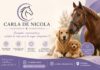 Carla De Nicola – Fisioterapia y Ozonoterapia Veterinaria en Brandsen