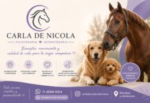 Carla De Nicola – Fisioterapia y Ozonoterapia Veterinaria en Brandsen