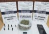Allanamiento en Brandsen por amenazas agravadas: secuestran municiones, marihuana y un celular