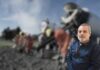 Ramón Cabrera: “Todas las obras llevan su tiempo, pero estamos avanzando bien y a paso firme”