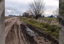Trabajos en caminos rurales: vecino advirtió sobre daños en la Ruta 54