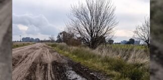 Trabajos en caminos rurales: vecino advirtió sobre daños en la Ruta 54