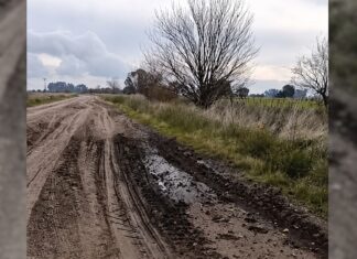 Trabajos en caminos rurales: vecino advirtió sobre daños en la Ruta 54