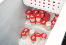 El Hospital Municipal Francisco Caram envió leche materna donada al Banco de La Plata