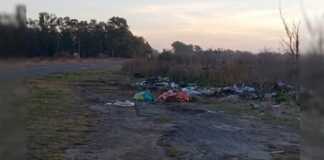 Escriben los lectores: preocupación de vecinos por un basural sobre Ruta 215