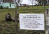 Solicitan que los impactos del agronegocio sean reconocidos como enfermedad laboral