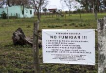 Solicitan que los impactos del agronegocio sean reconocidos como enfermedad laboral