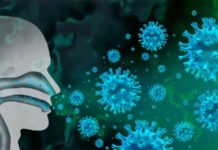 Gripe H3N2: cuáles son los síntomas y cómo prevenir este virus respiratorio