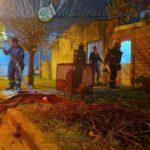 Incendio de vivienda en el barrio Los Tilos