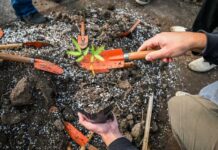 San Vicente: impulsan la educación ambiental con actividades para jóvenes y vecinos