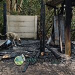 Una familia lo perdió todo y necesita ayuda: ¿fue intencional?